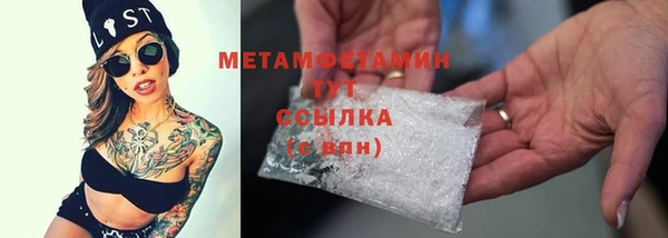 гидра Бронницы
