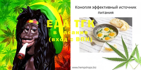 гидра Бронницы