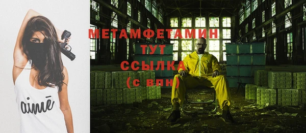 гидра Бронницы